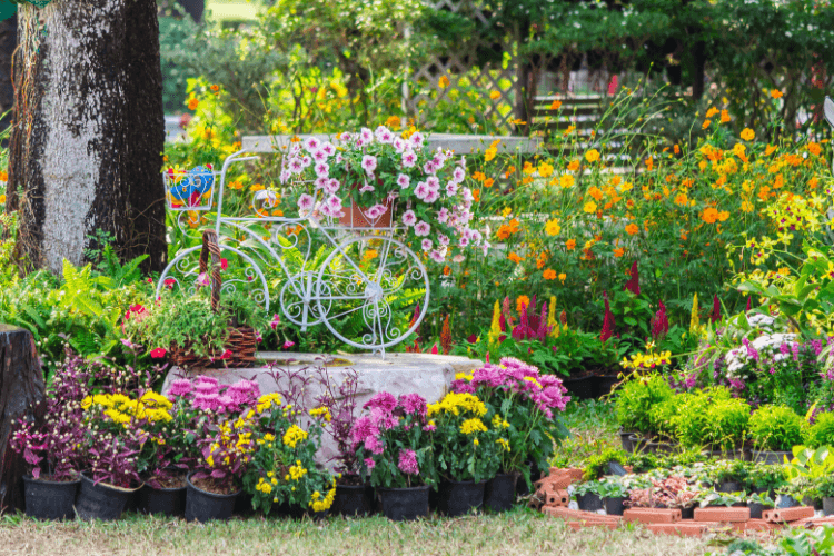 couleurs-jardin-paysagiste-couleur-jardin-guide-de-la-couleur-au-jardin-mettre-de-la-couleur-dans-son-jardin-associer-les-couleurs-des-rosiers