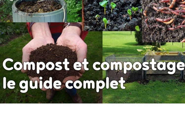 Comment faire du compost à la maison : Le guide pratique du compostage à domicile