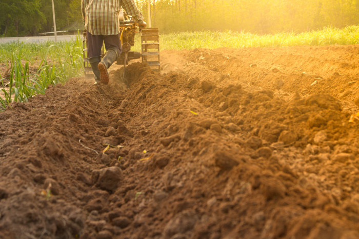 Quel brumisateur choisir pour l’entretien de son jardin ?